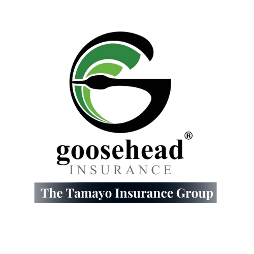 Tamayo Insurance Logo (2)